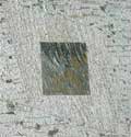 Graffito nediterraneo