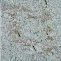 Poetiche mediterranee